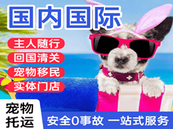 西双版纳嘎洒空运代理国际宠物托运 【国